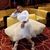Marilyn Biggs's profile image