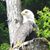 Linda Lohmann's profile image
