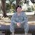 Debbie Mahr Pace's profile image