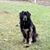 Barbara Ruffner's profile image