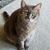 Sandy Manos's profile image