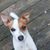 Sherry Stevenson's profile image