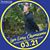 Tammy Whittle Westfahl's profile image