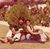 Urmi Patel's profile image