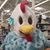 Mary Frances Walsh's profile image