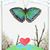 Sandra A. Tovar's profile image
