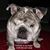 Norma Ann's profile image