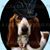 Doc Roberts's profile image