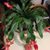 Carol Campbell Elmer's profile image
