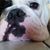 Adam Rodriguez's profile image