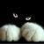 Julie Elvey's profile image