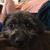 Susan Ryan's profile image