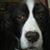 Jorge Fernandez's profile image