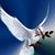 Jennifer Leese Fore's profile image