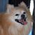 Lam Nguyen's profile image