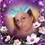 Holly Cooper's profile image