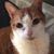 Caroline M McFarlane's profile image