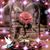 Terciopelo Rojo's profile image