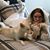 Fawn Cranmer's profile image
