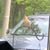 Darlene Stein Martin's profile image