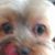 Joan Longstreth's profile image