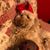 Tammy Woodrome's profile image