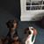 Suzanne Gittins's profile image