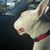 Matt Routh's profile image