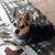 Lauren Kropp Robords's profile image