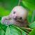 Beth Gandy's profile image