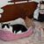 Patricia Afcm Lentz's profile image