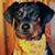 April Mapes's profile image