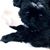 Suzanne Brewer Torbert's profile image
