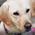 Barbara Anke Sterdt's profile image