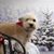 Kimberly Gordon's profile image