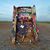 Patricia Aguilar Lipsett's profile image