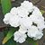 Joyce Leonard's profile image
