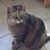 Kathy Scobie's profile image