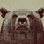 Cody Anderson's profile image
