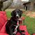 Vicki Kunkle's profile image