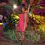 Kema Burley's profile image
