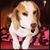 Mooshi Bon's profile image