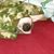 Stacy Richards's profile image