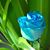 Flo McCandless's profile image