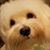 Lynn Scraver's profile image