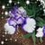 Margaret Chester's profile image