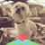 Greg Brown's profile image