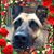 Jess Peterson's profile image