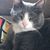 Amy Voss Bolton's profile image