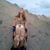 Stace Misty McCartney's profile image